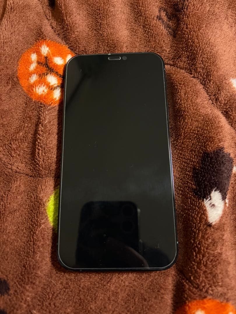 Apple iPhone 12 Pro パシフィックブルー 本体