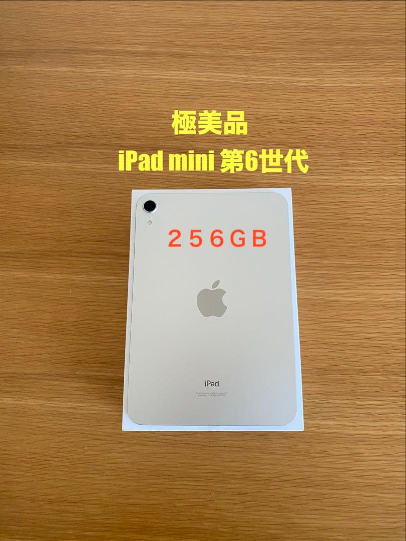 iPad 第6世代(mini) 美品　256GB iPad本体　充電器付き