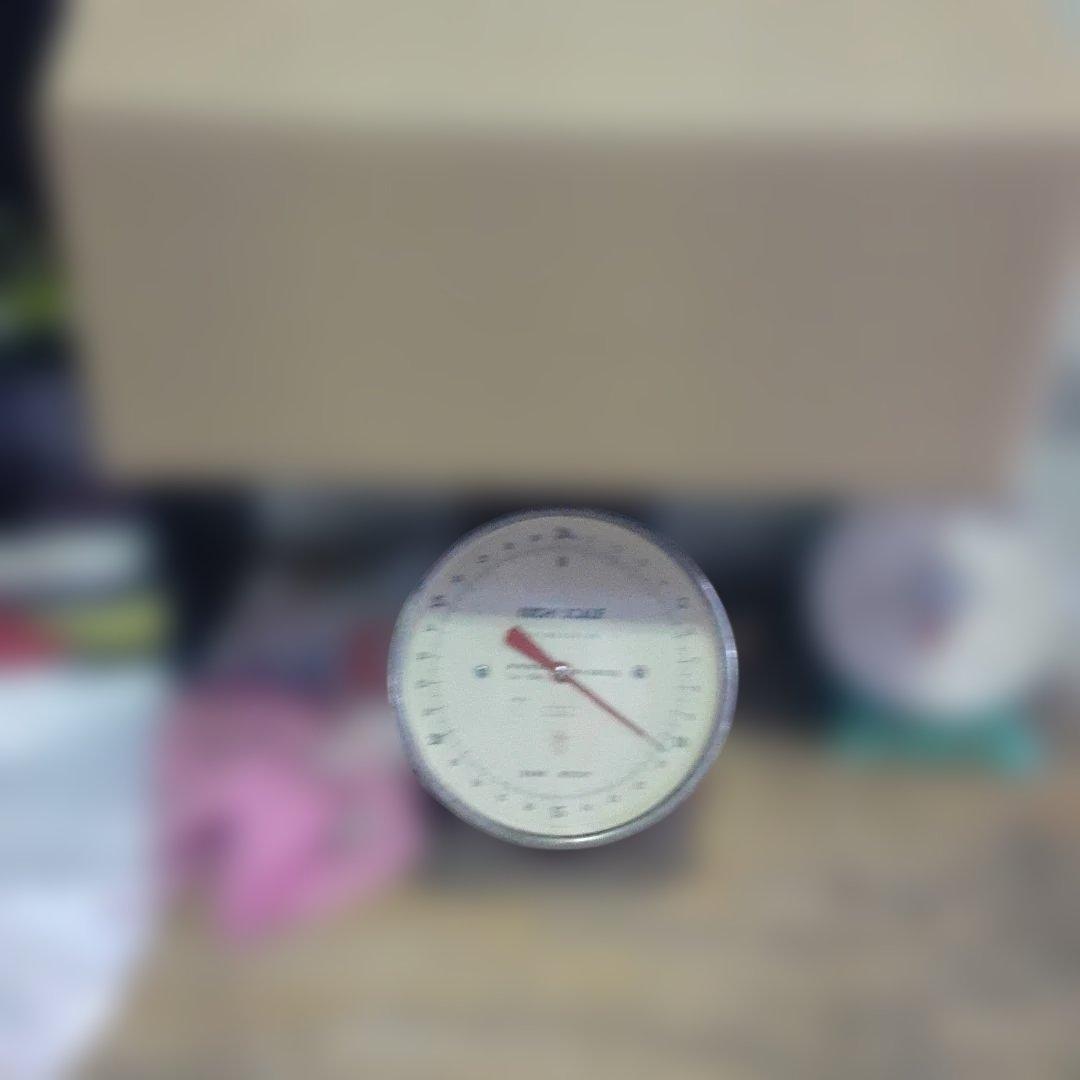 沖縄県産♪島らっきょう10㎏②