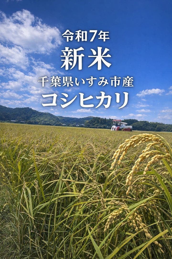 ♡最終♡令和7年千葉県いすみ市産コシヒカリ 25kg白米　無洗米　天皇献上米