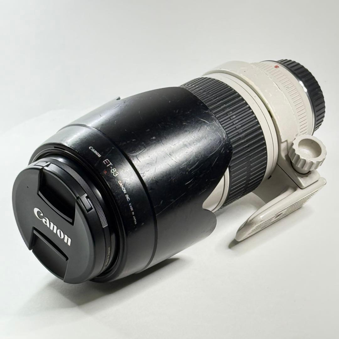 Canon EF 70-200mm F2.8 L USM ズームレンズ