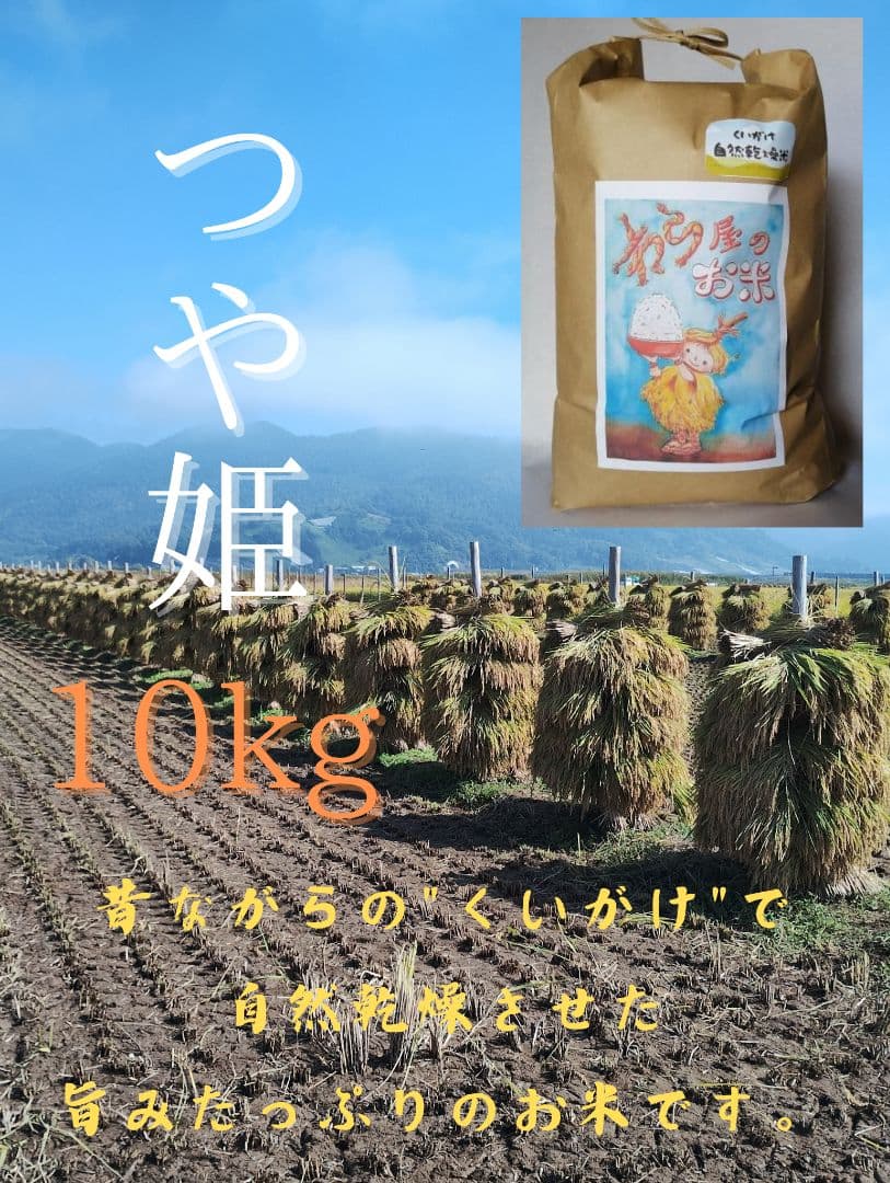 特別栽培米　つや姫　10キロ　わら屋のお米　自然乾燥米
