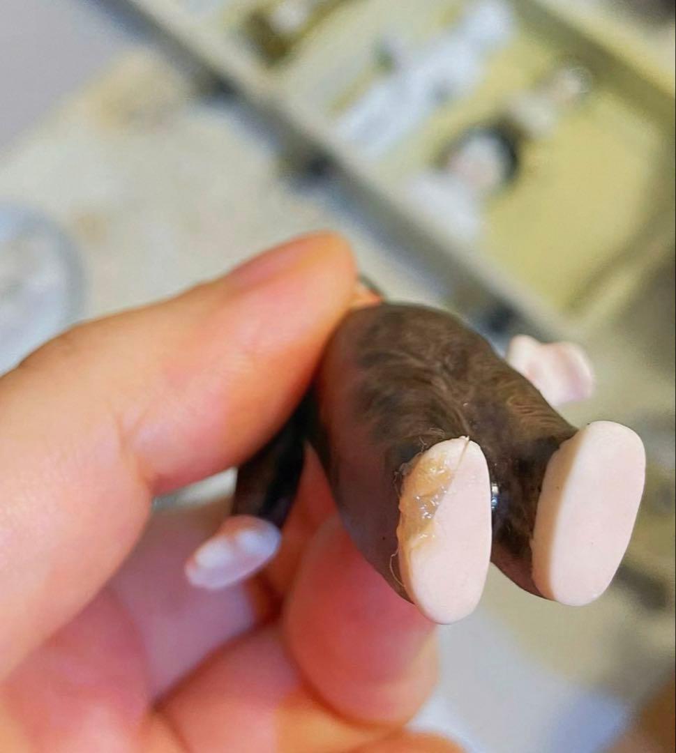 ドイツ　アンティーク　うさぎの着ぐるみ　ミニョネット　ビスクドール