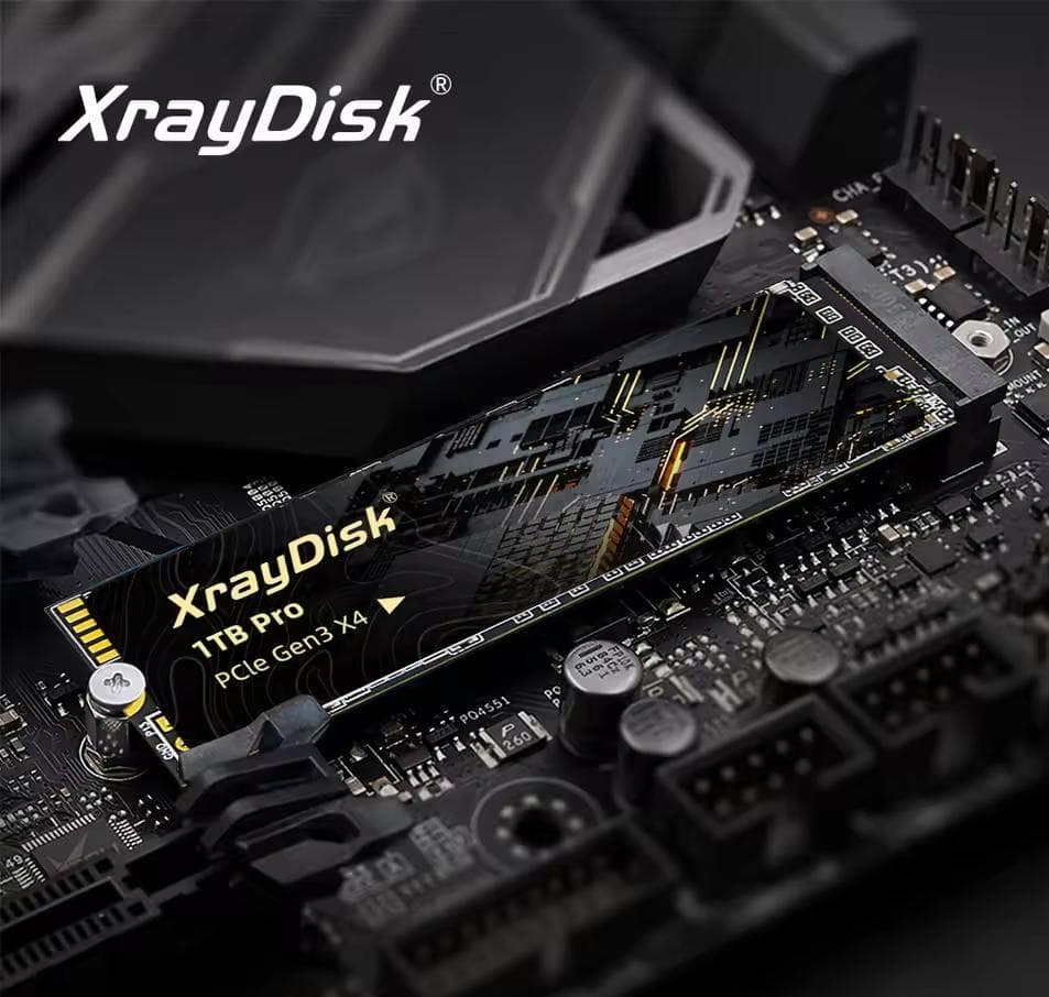 内蔵型SSD XrayDisk 1TB Pro PCIe Gen3 X4 NVMe SSD