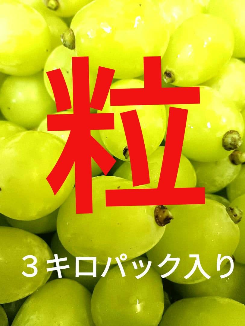シヤインマスカット大粒グリーン多め入り3キロパック入りになります、