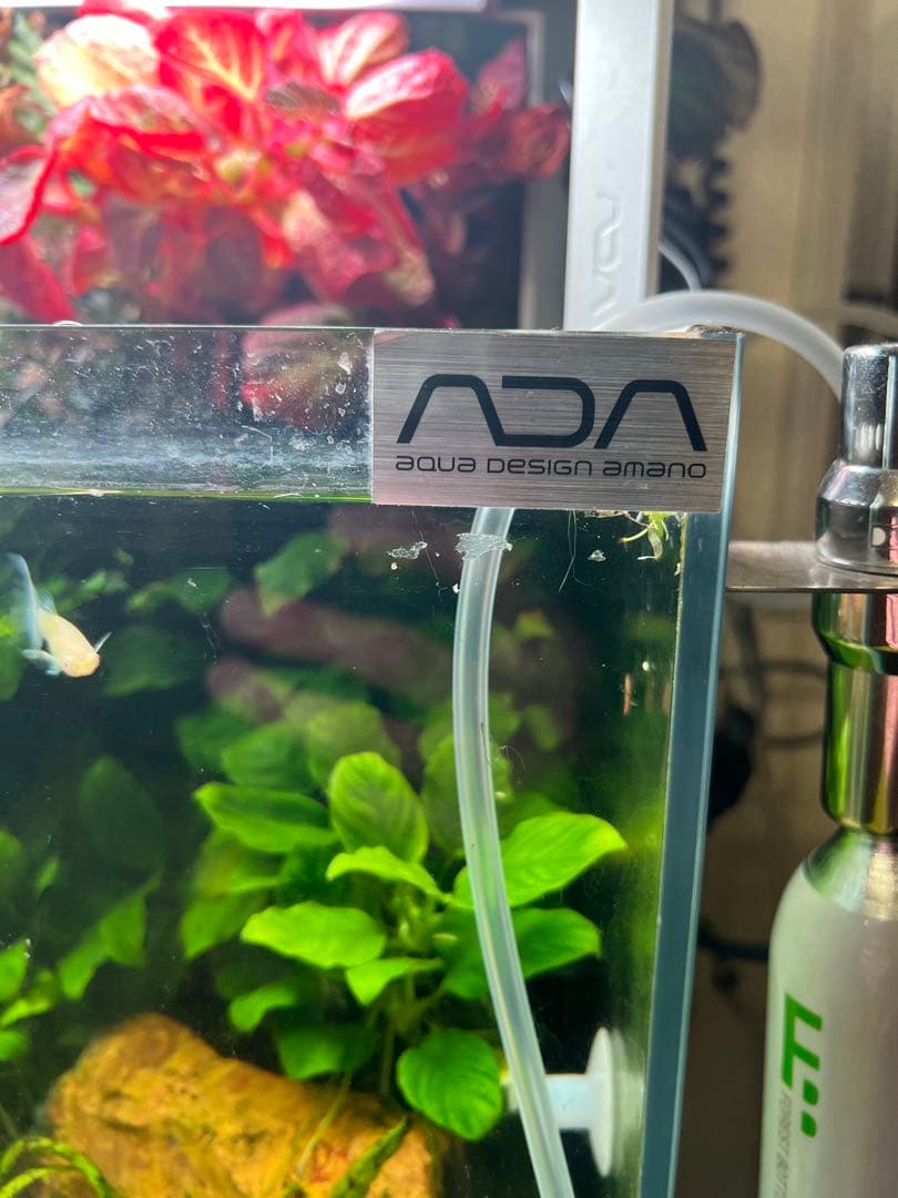 ADA 水草水槽 60cm RGBライト、CO2システム付き！オプション多数⭐︎