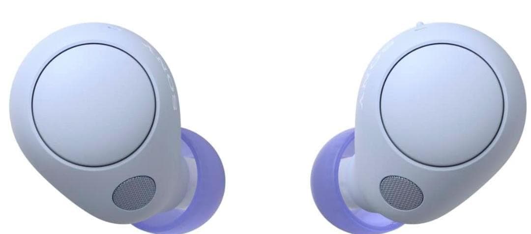 ソニー(SONY) 完全ワイヤレスイヤホン WF-C700N ラベンダー