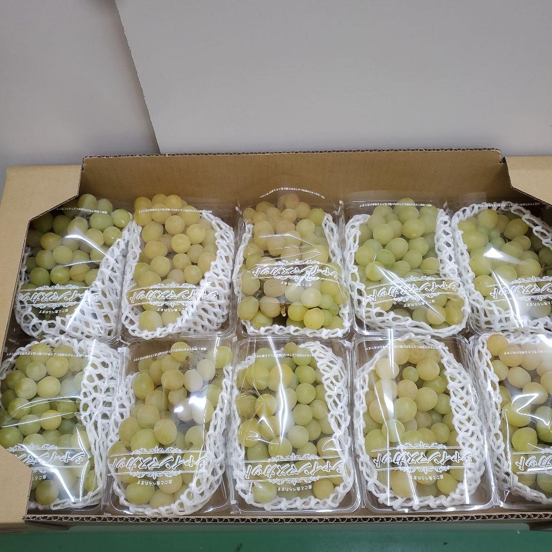3️⃣ 山梨県産 シャインマスカット １０P入り 箱込み5.8キロ