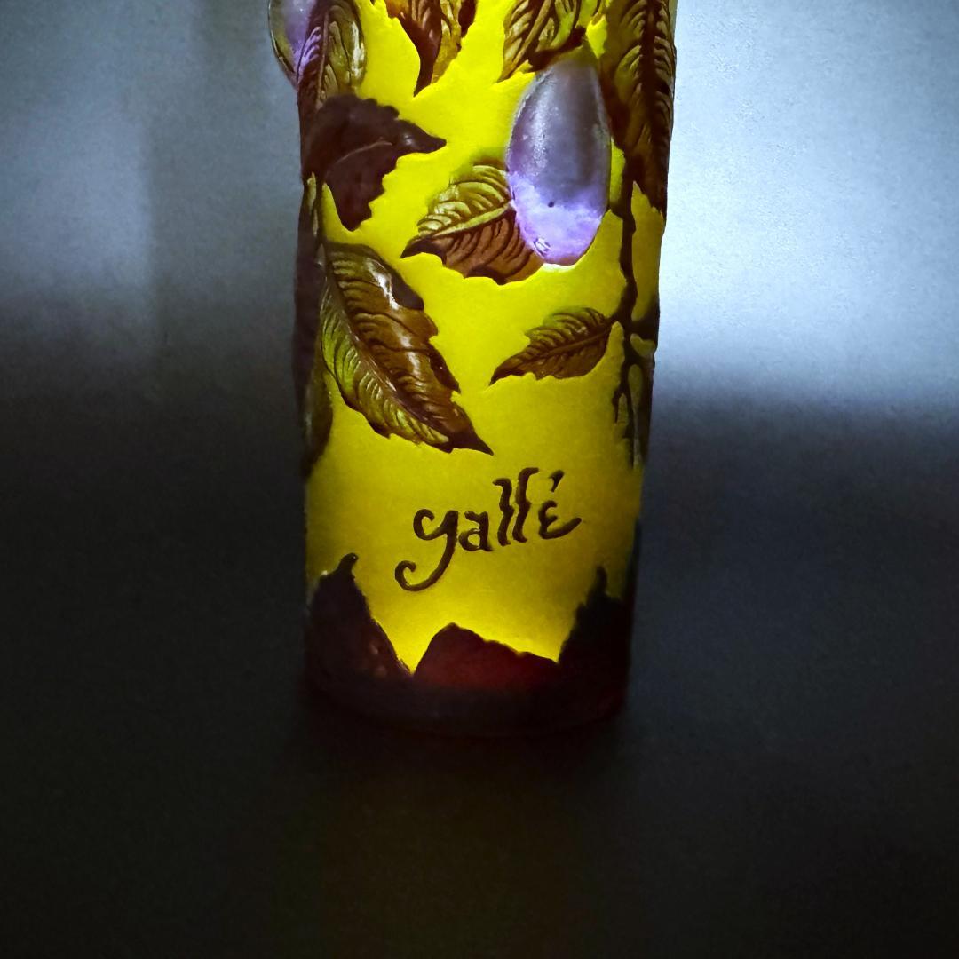 【美品】エミール・ガレ★red and gold with prunes