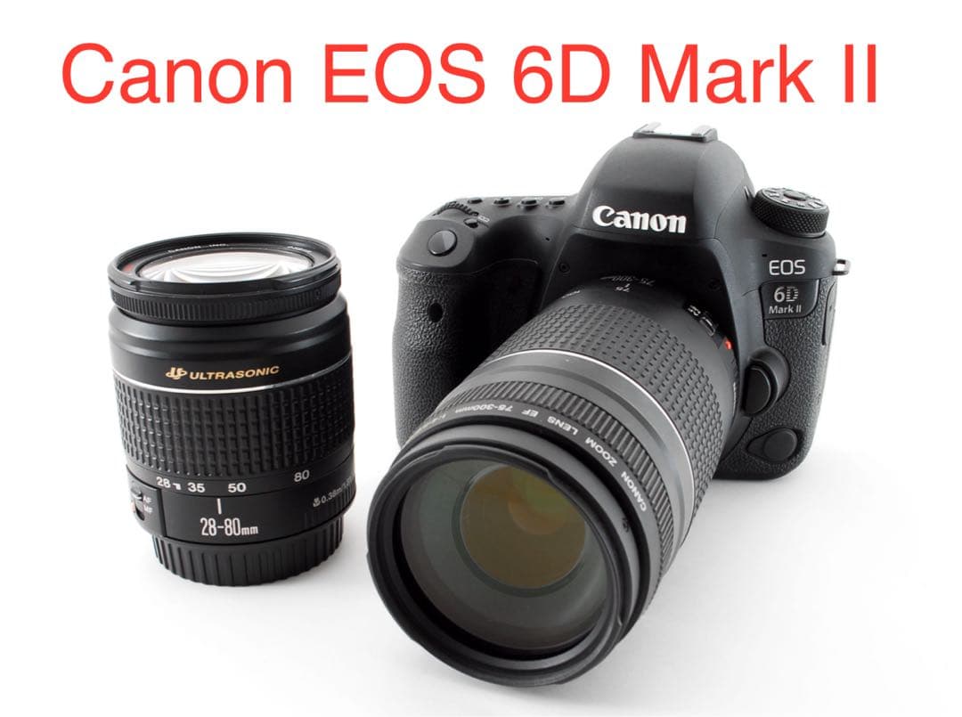 デジタル一眼レフカメラCanon EOS 6D Mark IIダブルレンズセット