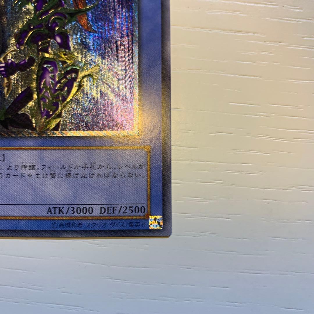 ☆新品☆ カオス・ソルジャー レリーフ