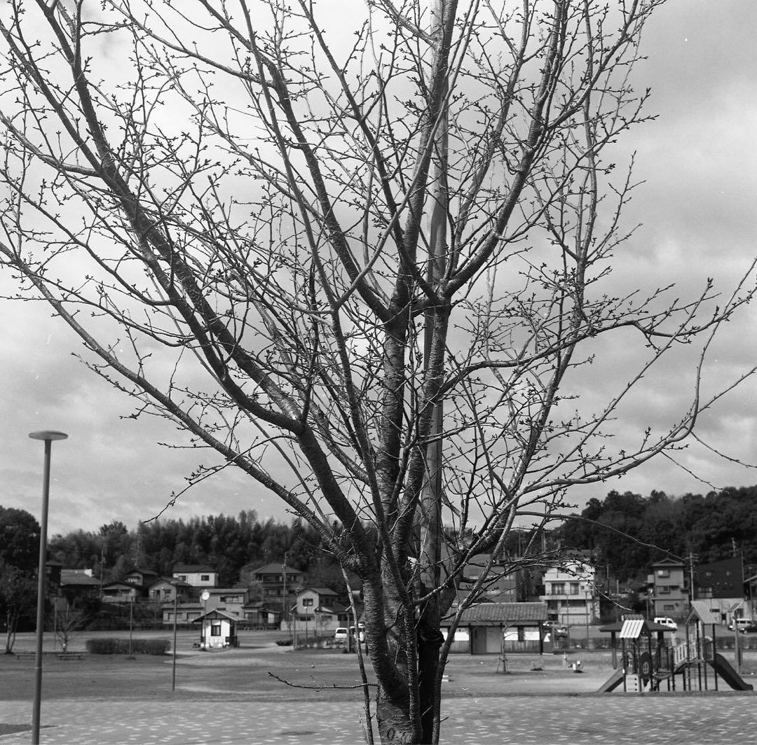 【週末値下げ】YASHICA Mat-124 G 二眼レフ