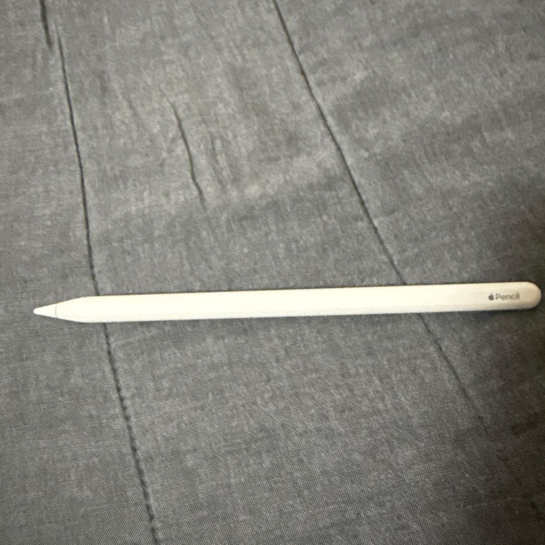 Apple iPad Pro11インチ(第4世代),ApplePencil 2