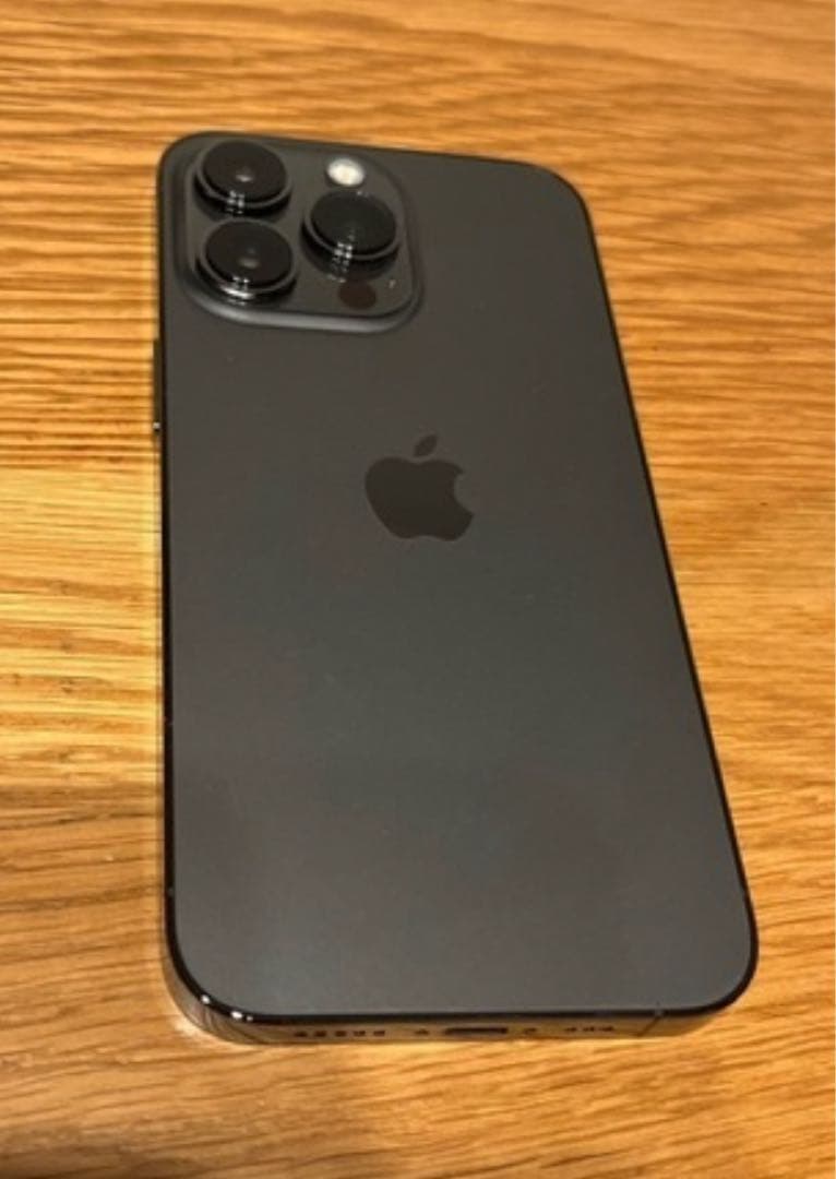 新品　Apple iPhone 13 Pro グラファイト
