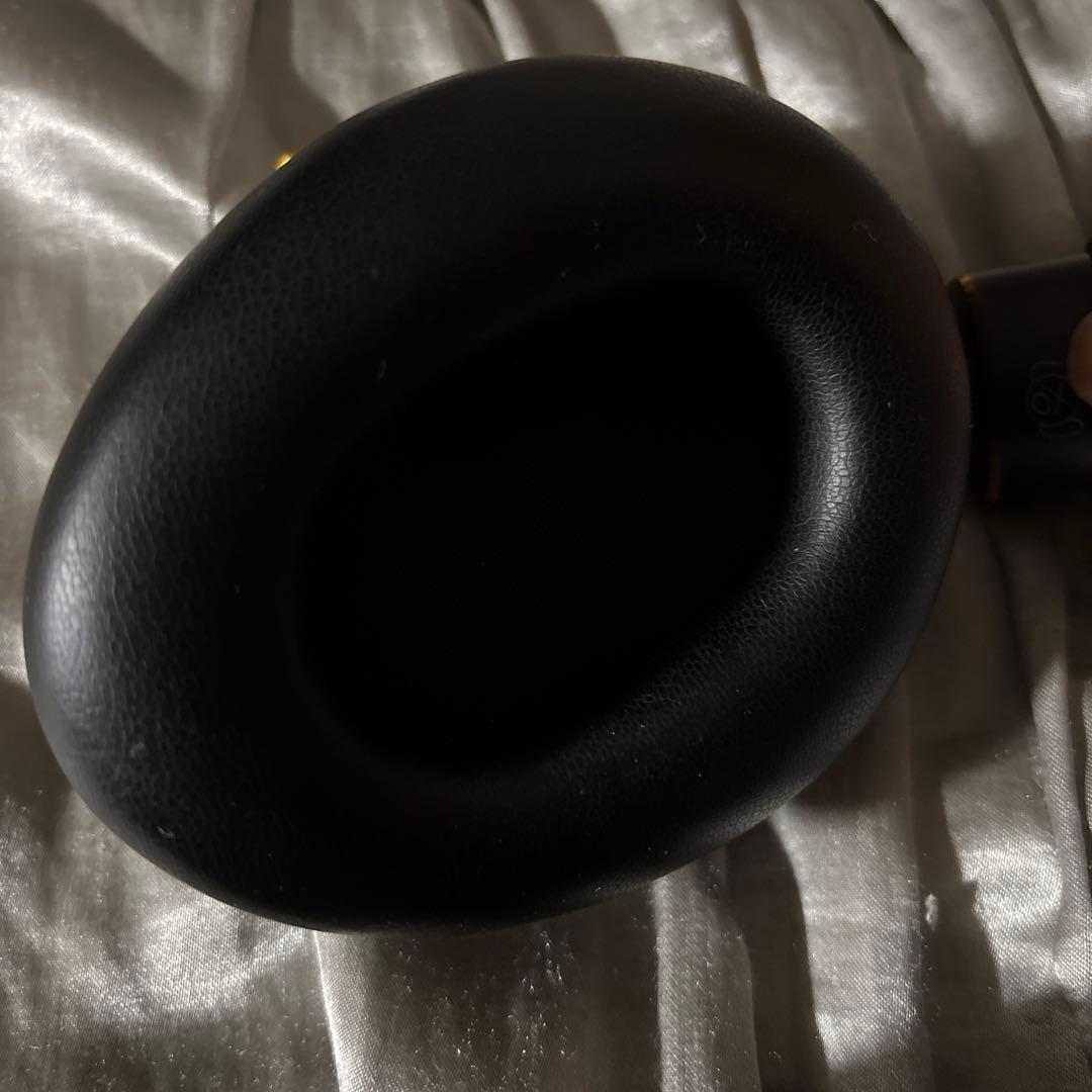 AVIOT WA-Z1PNK ピエール中野 コラボモデル ピッドホン