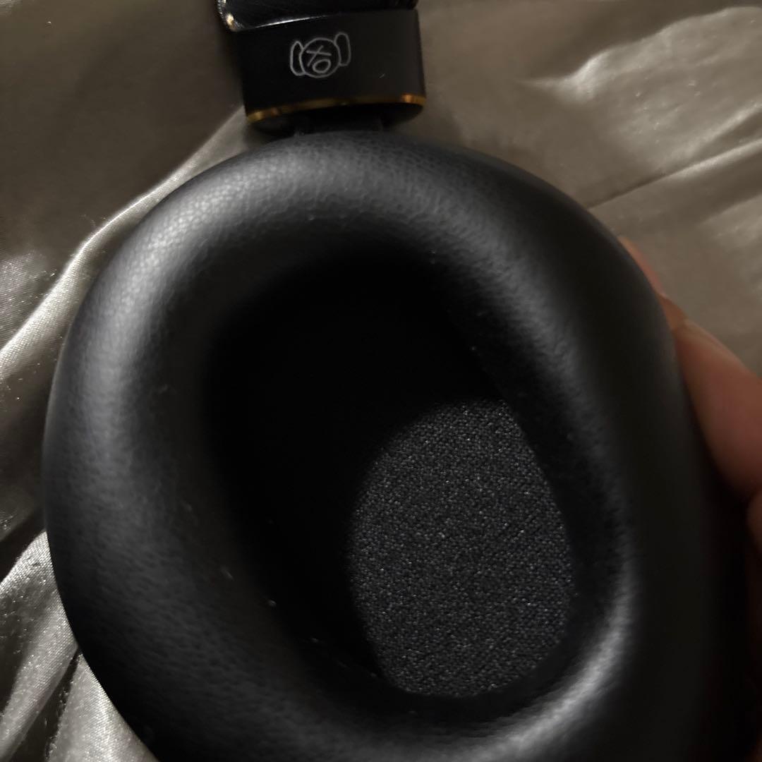 AVIOT WA-Z1PNK ピエール中野 コラボモデル ピッドホン