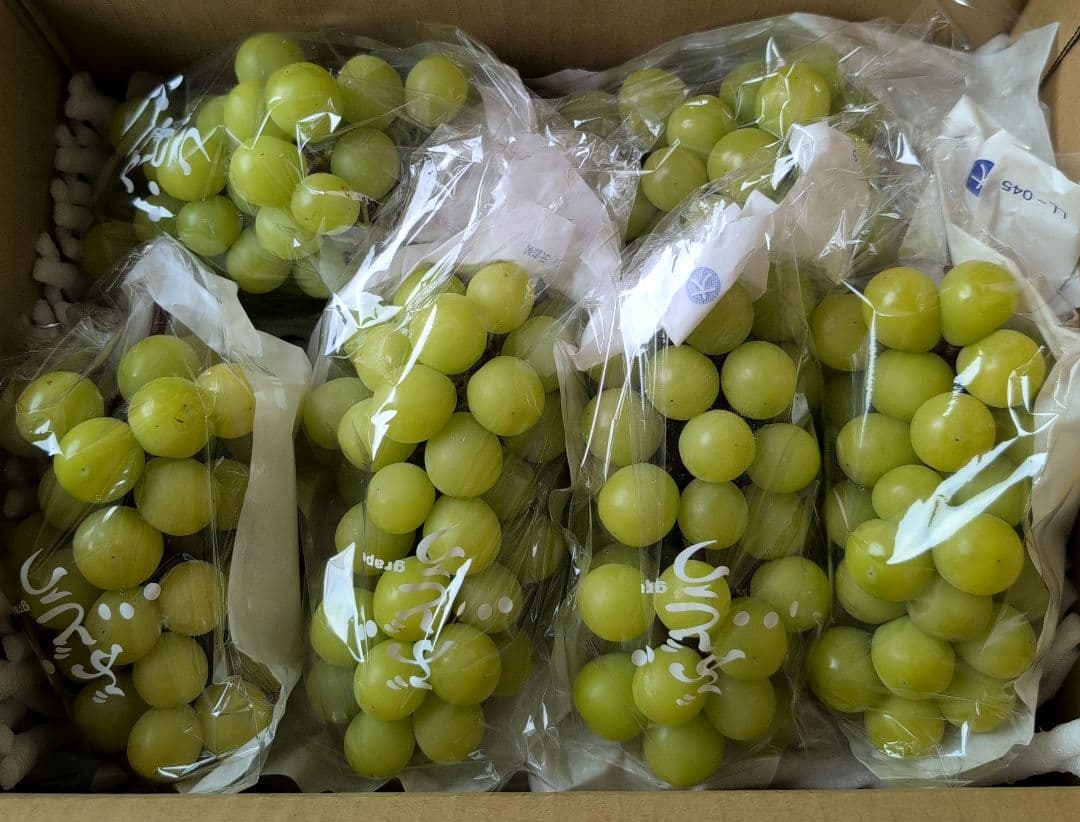痛風おじさん‼️ シャインマスカット３キロ箱入