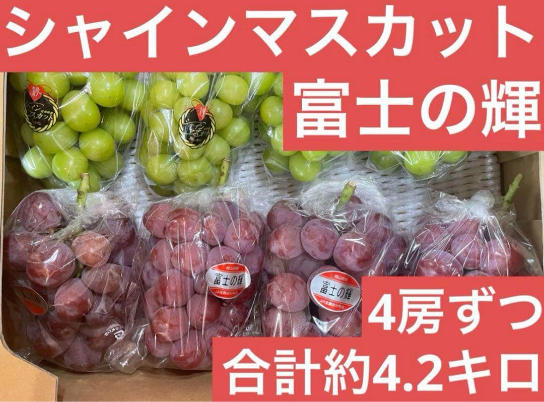 12【島根県産】 シャインマスカット4房 【岡山県産】 富士の輝　4房