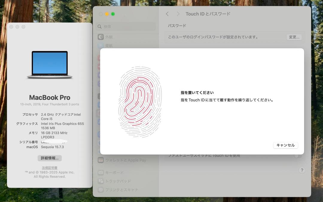 MacBook本体 Apple MacBook Pro 13 2019 i5/16GB/500GB