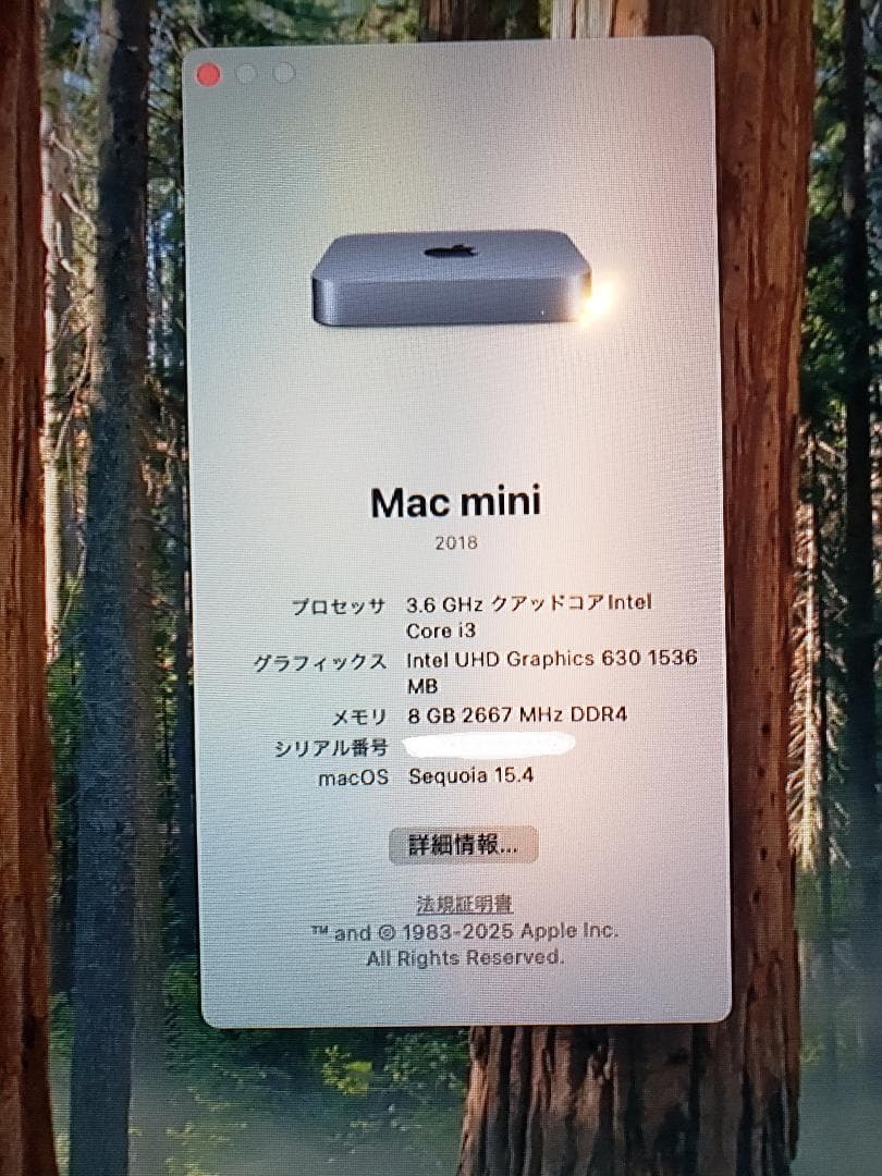 Apple Mac Mini i3 8GB ストレージ128GB　リカバリ済