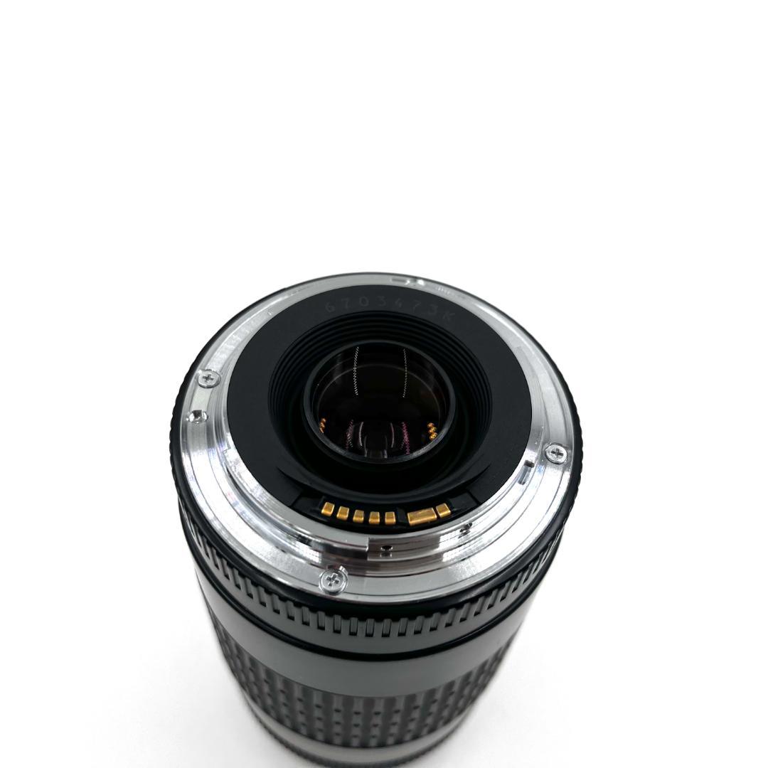 望遠レンズ Canon EF 75-300mm F4-5.6 USM #222