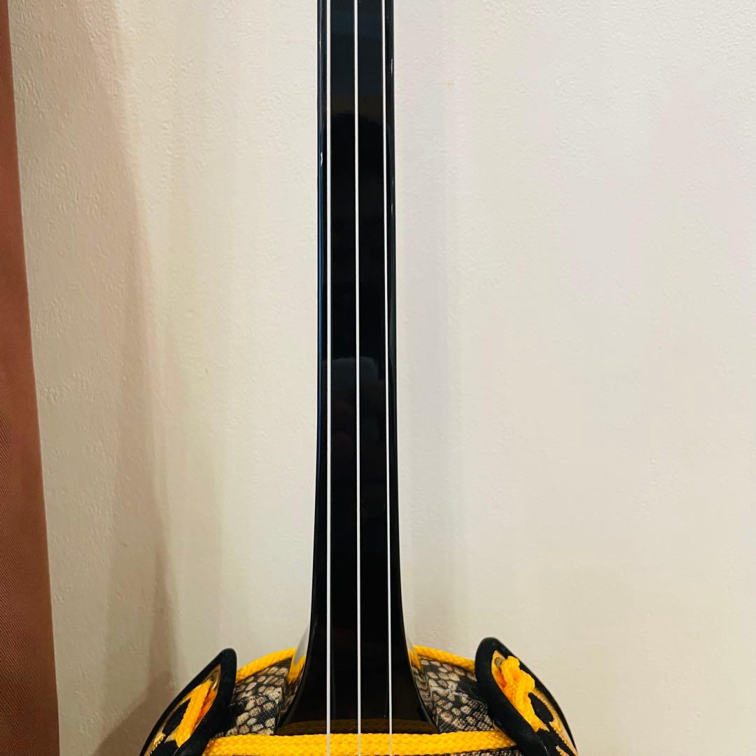 三線 沖縄 初心者セット 人工皮 ケース 爪 教本 set 三味線　送料込