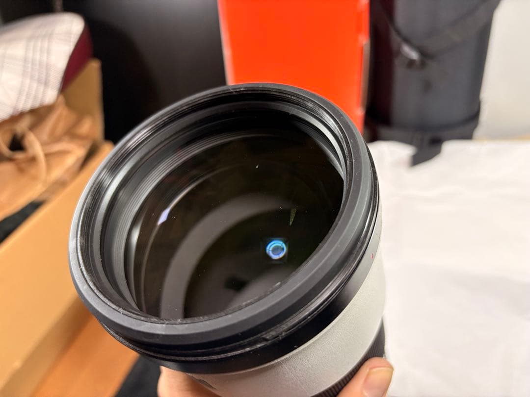 SONY FE 200-600mm F5.6-6.3 G OSS オマケあり多数