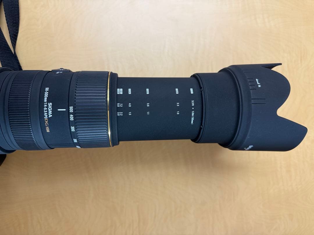 【業者清掃済・極美品】SIGMA 50-500mm F4-6.3 HSMキヤノン