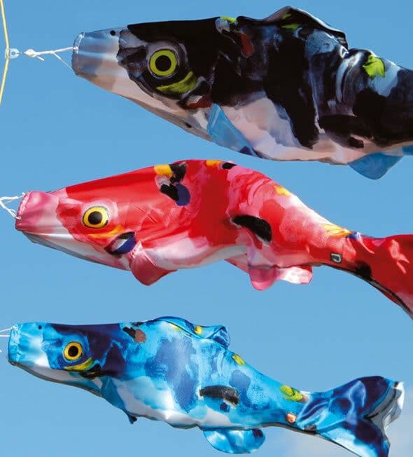 鯉のぼり　1.5Mセット　虹鯉　片岡鶴太郎　　こいのぼり