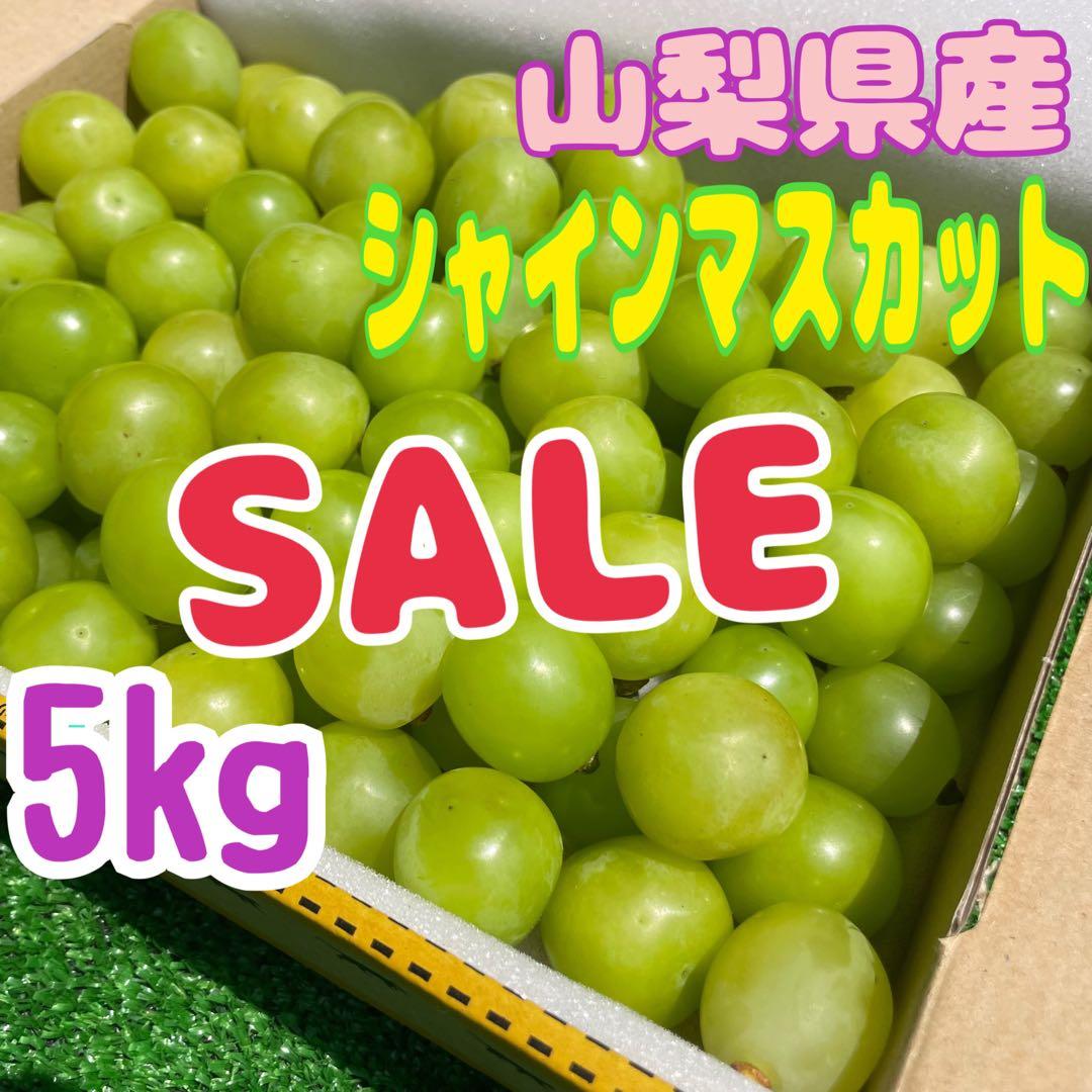 ak55 山梨県産　シャインマスカット　葡萄　グレープ　粒　箱込み5kg