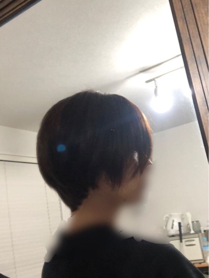 人毛100% フルウィッグ　ショートボブ　ブラウン