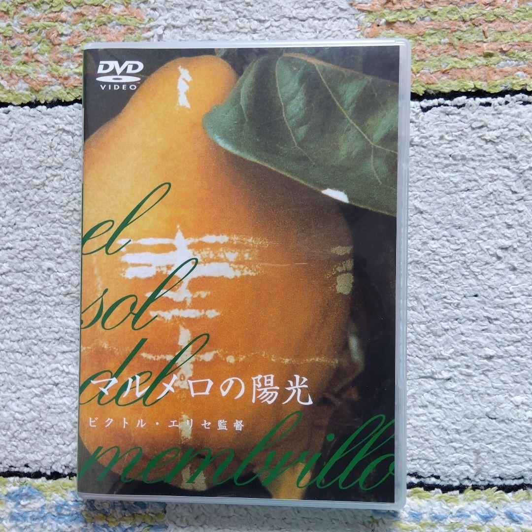 【超美品・廃盤 希少品】マルメロの陽光