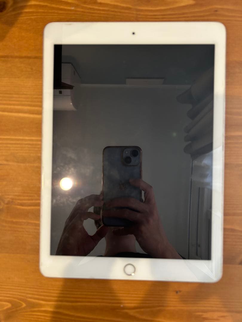 Apple iPad pro シルバー 本体