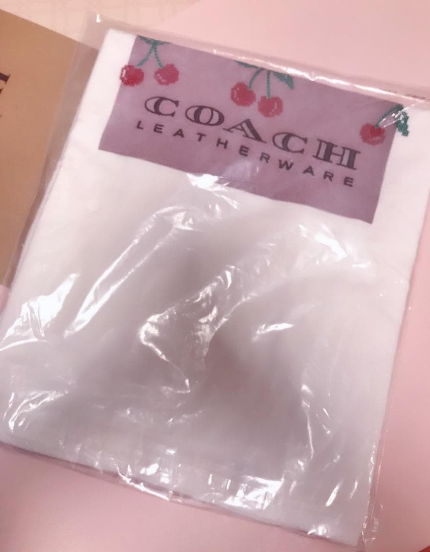 AI 新品 coach スクエア クロス スティッチ チェリー Tシャツ