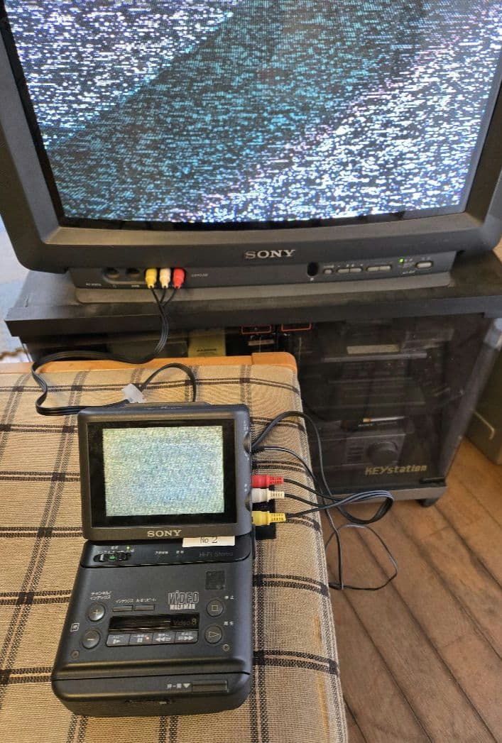 その他 SONY VIDEO WALKMAN GV-500