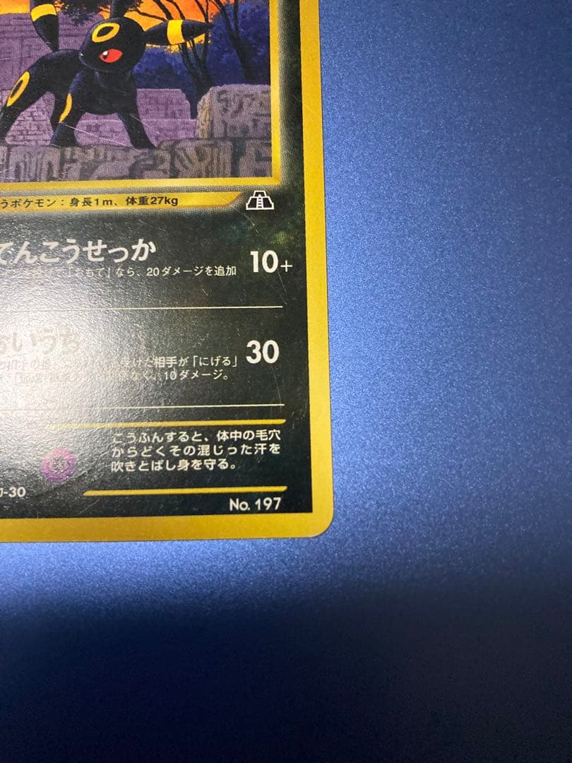 ブラッキー_プレミアムファイル2 PROMO 第2世代（★neo・★VS・★w…