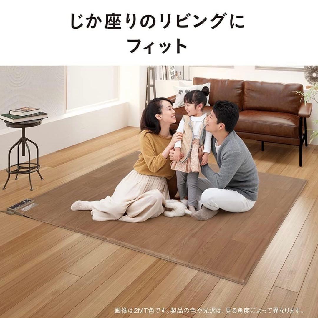 【⭐️LIFE⭐️STAGE⭐️】Panasonic DC-2V4 700W