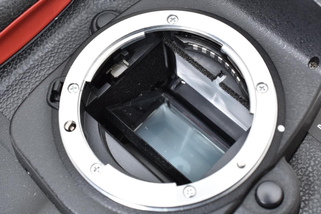 美品 NIKON ニコン D100 デジタル ボディ M891