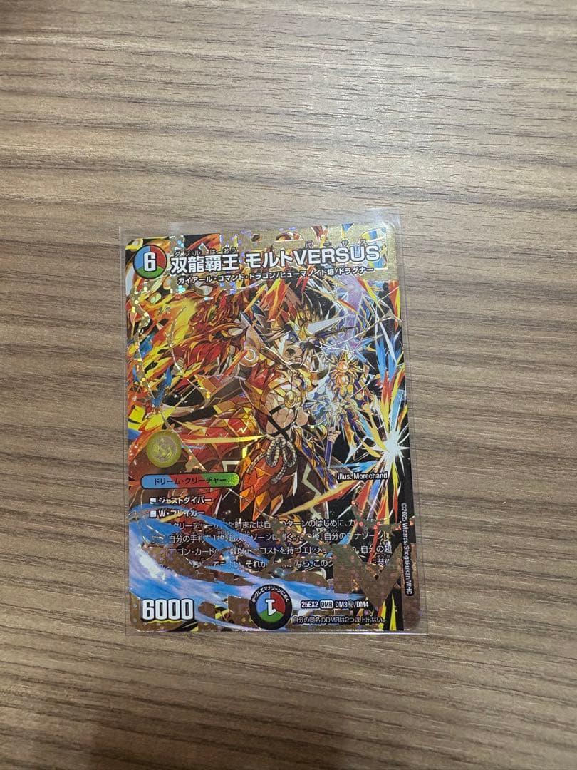 双龍覇王モルトVERSUS シク