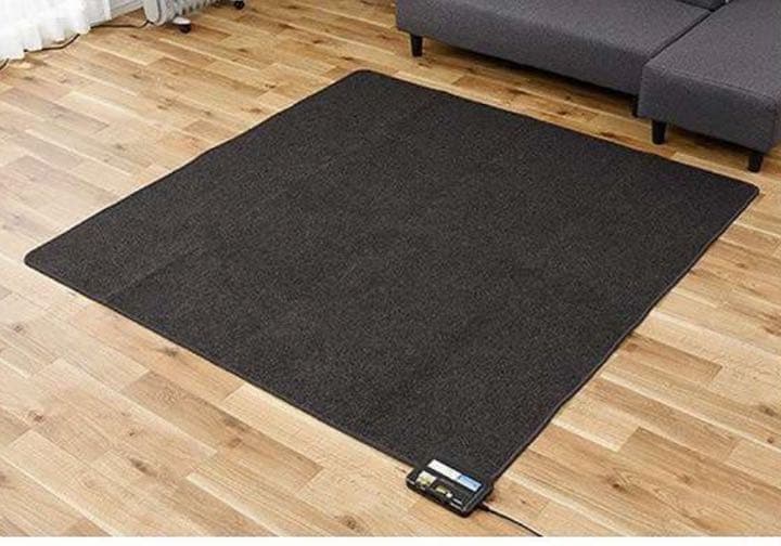 新品　空気をキレイにするホットカーペット　3畳タイプ SUE-S300K