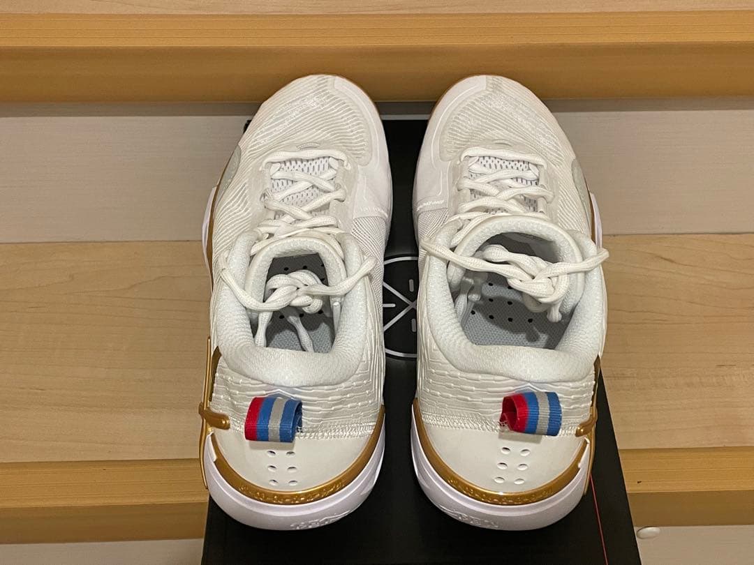 リーニン　WADE SHADOW 6V2 27.5cm ホワイトゴールド