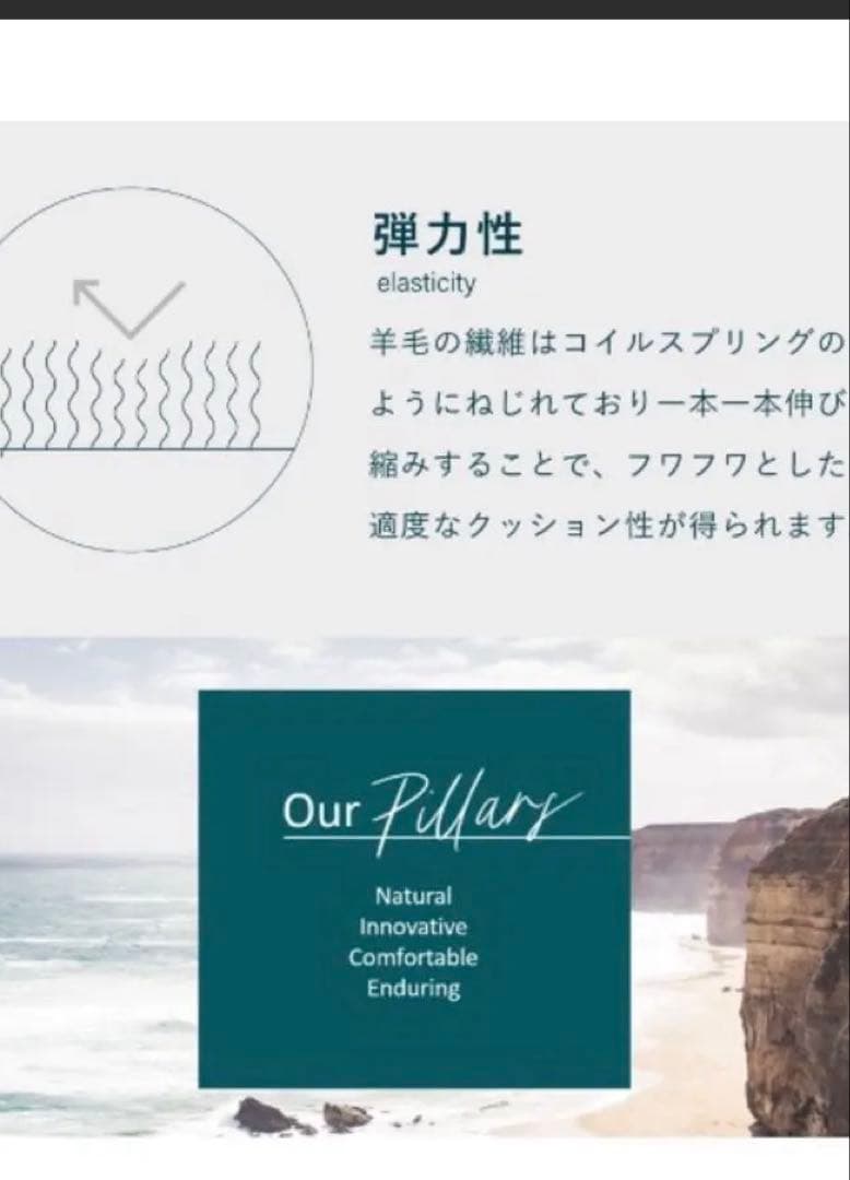 ⭐︎emu Stinger Reef 新品タグ付き　23cm⭐︎