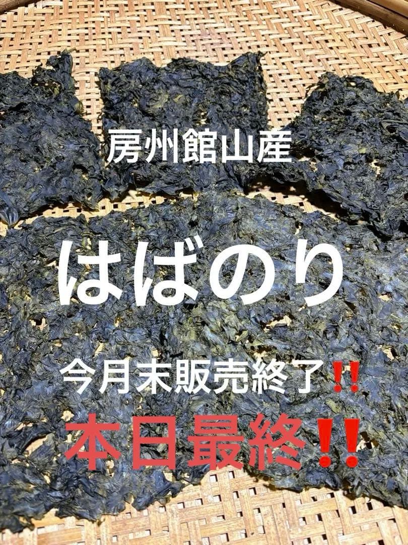 房州館山産✴︎はばのり100枚約900g