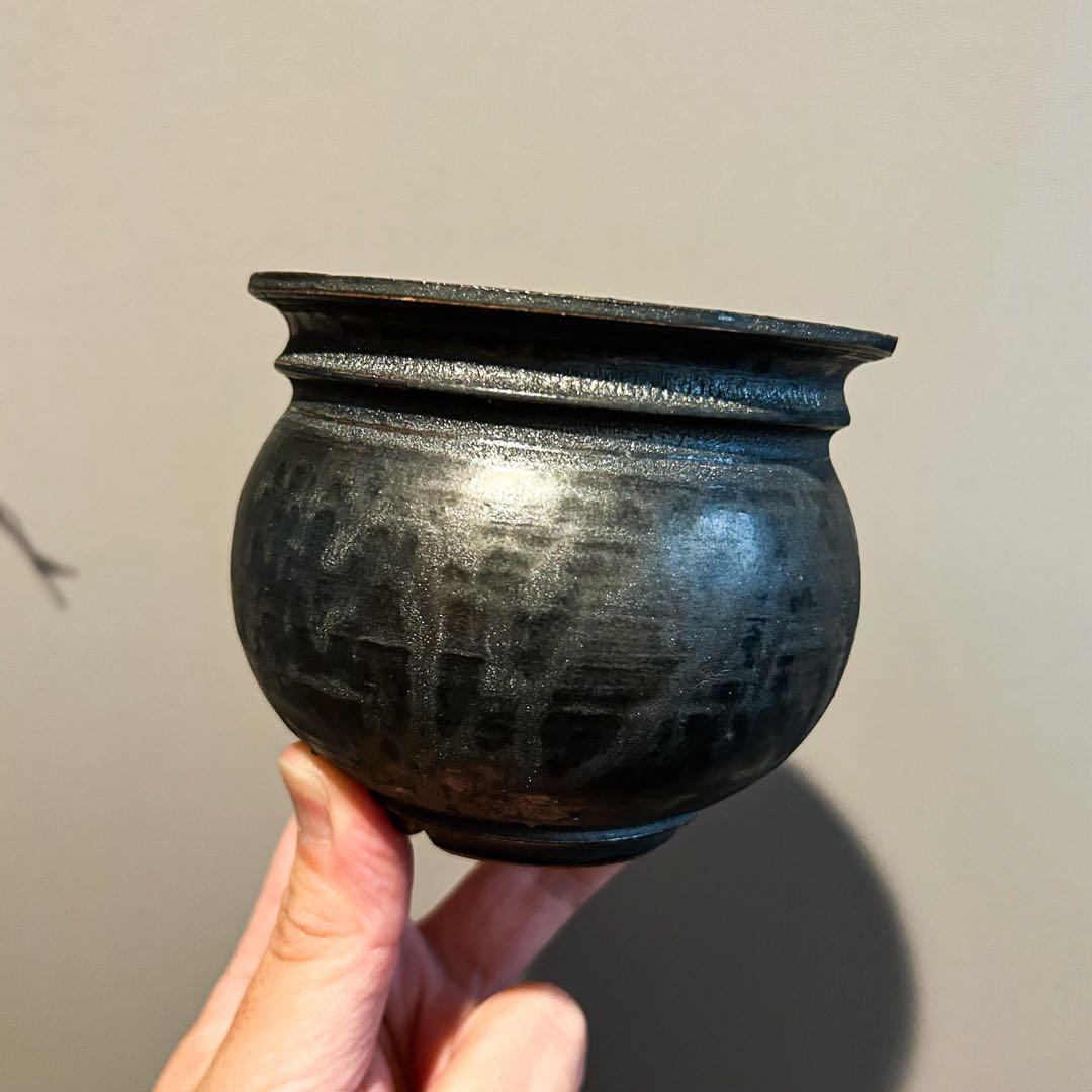 山中勇人　鉢　鉄球　アガベ　サボテン　塊根植物