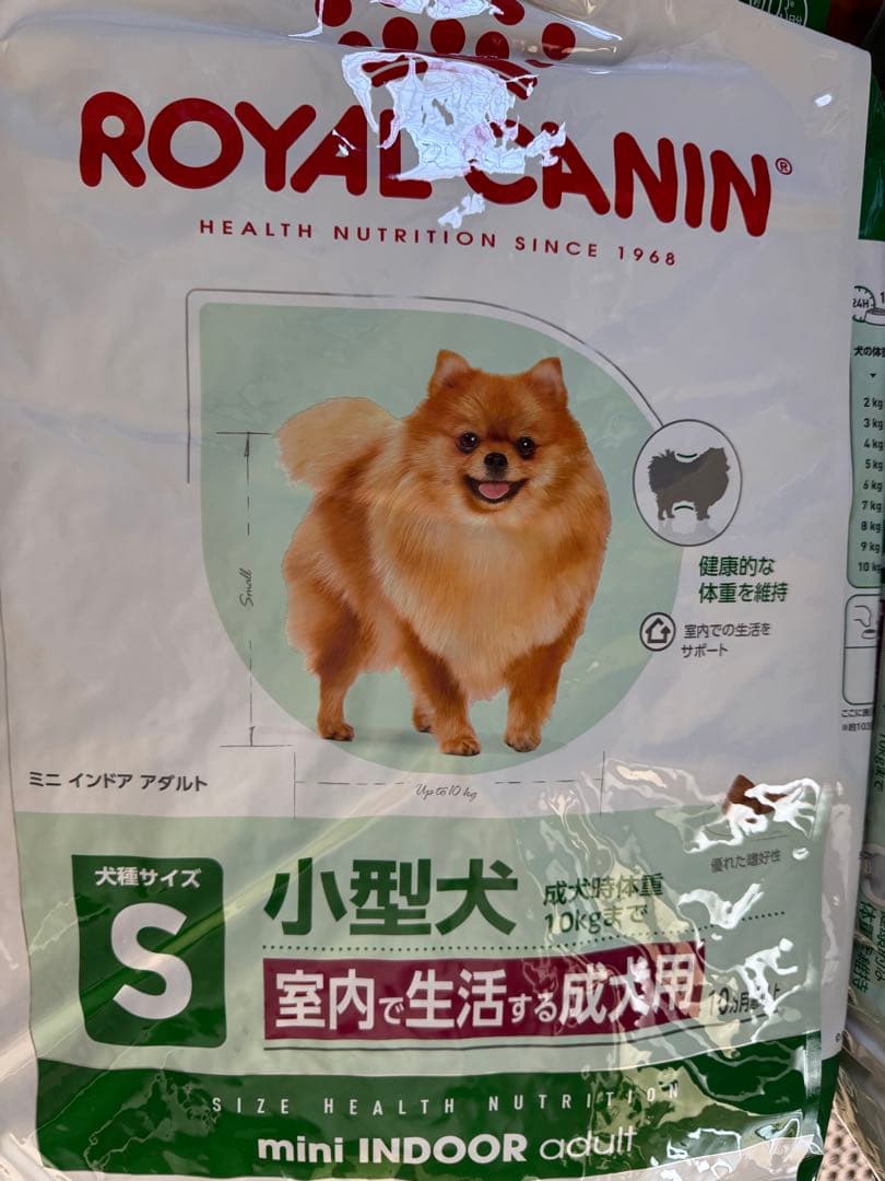  CANIN　ミニインドアアダルト mini INDOOR 10kg