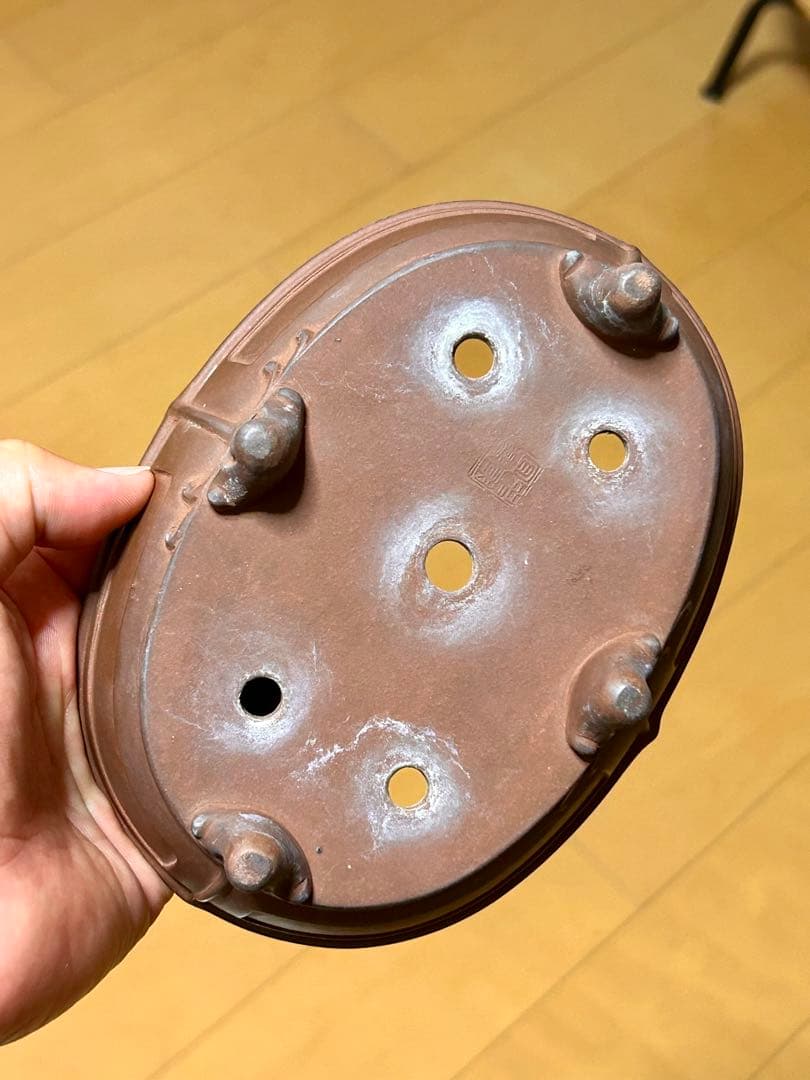 【盆栽鉢】中国宜興 朱泥 額入雲脚 楕円鉢