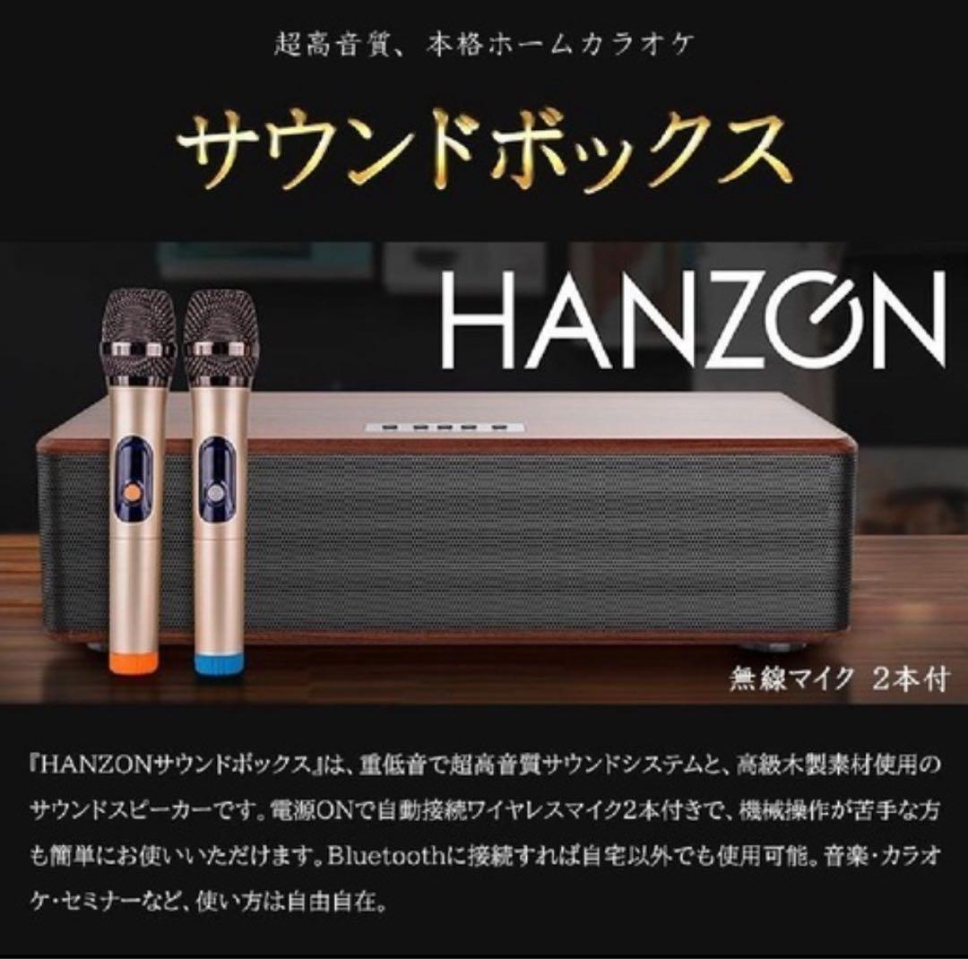【今週限定】HANZON サウンドボックス 無線マイク2本付