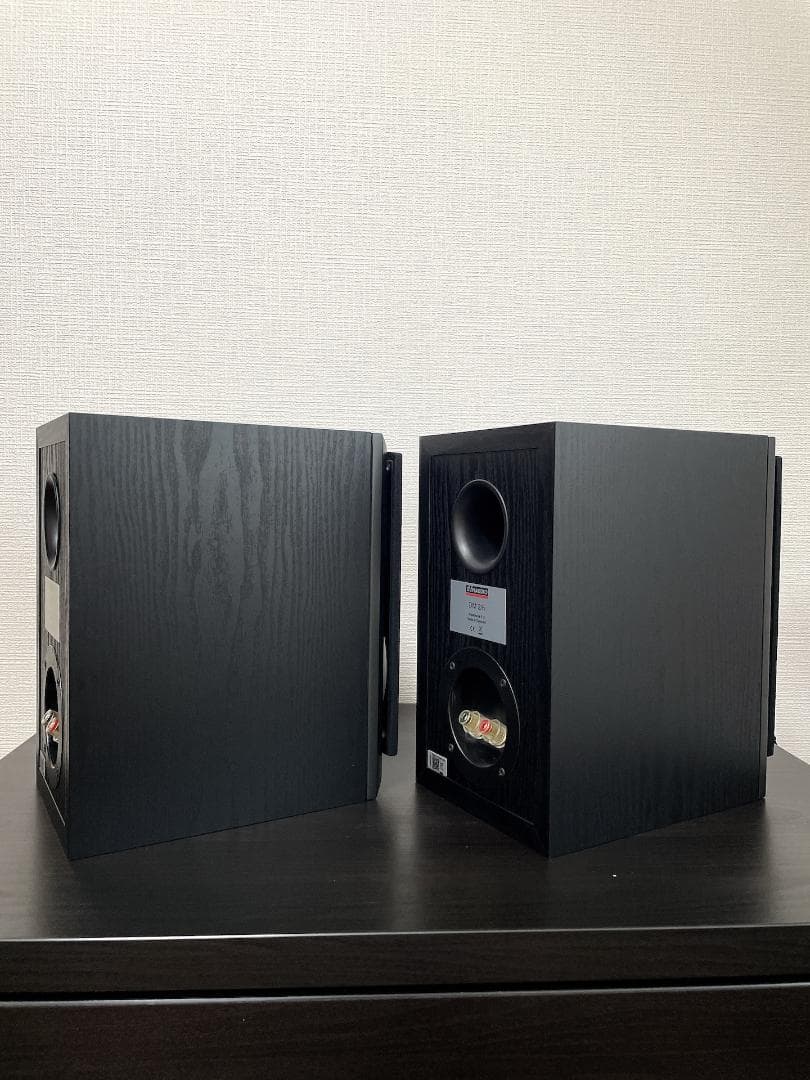 美品 DYNAUDIO ディナウディオ DM 2/6 スピーカー