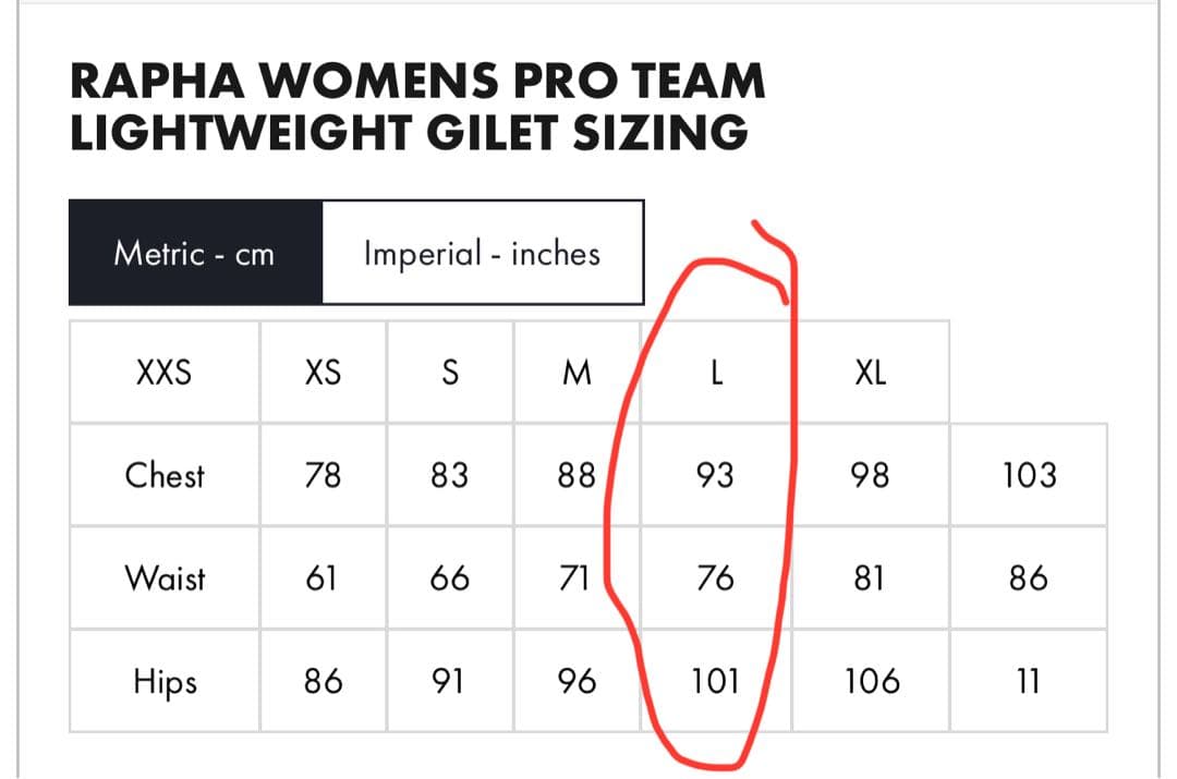 プロチーム ライトウェイト ジレ Lサイズ