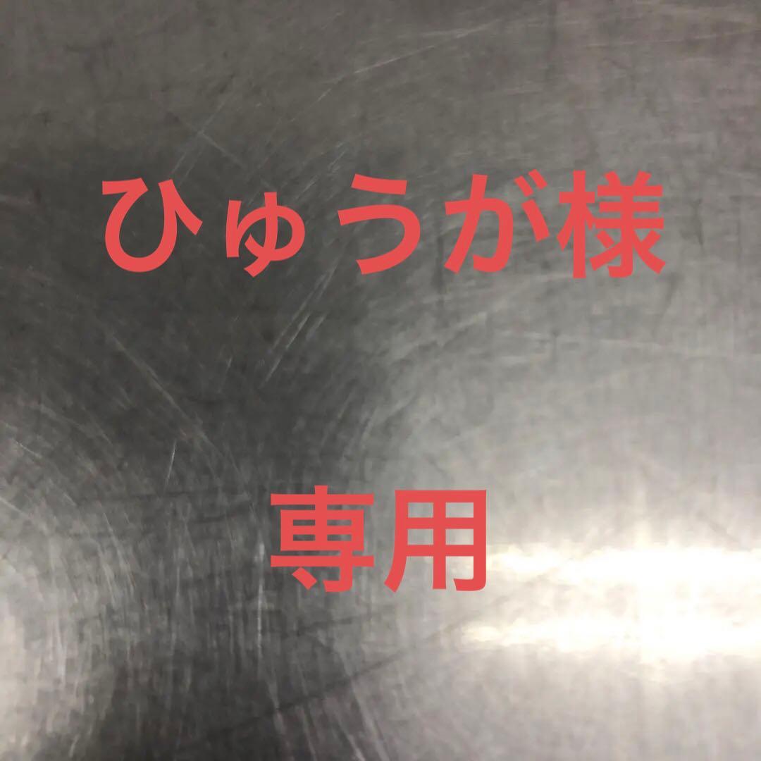ひゅうが　エヴァンゲリオン　キャラクタースリーブコレクション